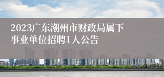 2023广东潮州市财政局属下事业单位招聘1人公告