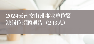 2024云南文山州事业单位紧缺岗位招聘通告（243人）