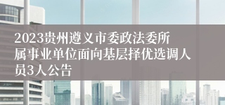 2023贵州遵义市委政法委所属事业单位面向基层择优选调人员3人公告