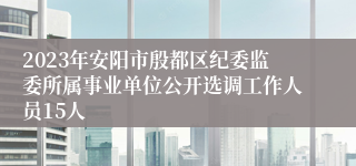 2023年安阳市殷都区纪委监委所属事业单位公开选调工作人员15人