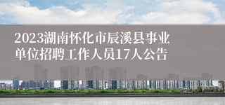 2023湖南怀化市辰溪县事业单位招聘工作人员17人公告