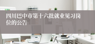四川巴中市第十六批就业见习岗位的公告
