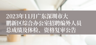 2023年11月广东深圳市大鹏新区综合办公室招聘编外人员总成绩及体检、资格复审公告