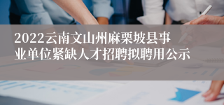 2022云南文山州麻栗坡县事业单位紧缺人才招聘拟聘用公示