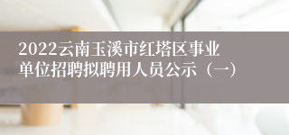 2022云南玉溪市红塔区事业单位招聘拟聘用人员公示（一）