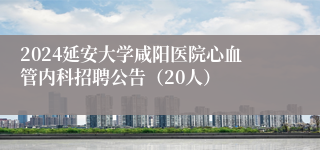 2024延安大学咸阳医院心血管内科招聘公告（20人）