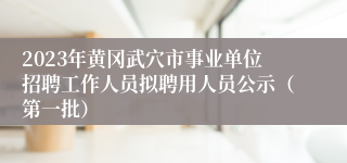 2023年黄冈武穴市事业单位招聘工作人员拟聘用人员公示（第一批）