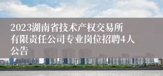 2023湖南省技术产权交易所有限责任公司专业岗位招聘4人公告