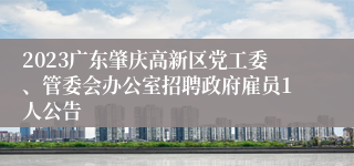 2023广东肇庆高新区党工委、管委会办公室招聘政府雇员1人公告