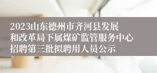 2023山东德州市齐河县发展和改革局下属煤矿监管服务中心招聘第三批拟聘用人员公示