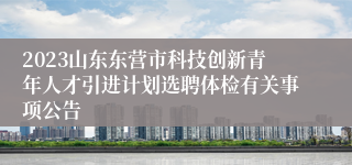 2023山东东营市科技创新青年人才引进计划选聘体检有关事项公告