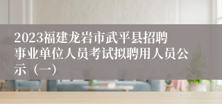 2023福建龙岩市武平县招聘事业单位人员考试拟聘用人员公示（一）