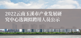 2022云南玉溪市产业发展研究中心选调拟聘用人员公示