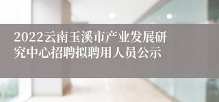 2022云南玉溪市产业发展研究中心招聘拟聘用人员公示