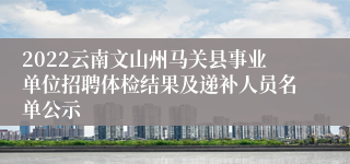 2022云南文山州马关县事业单位招聘体检结果及递补人员名单公示