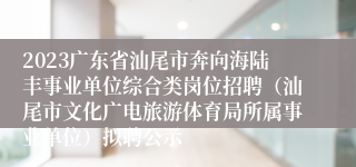 2023广东省汕尾市奔向海陆丰事业单位综合类岗位招聘（汕尾市文化广电旅游体育局所属事业单位）拟聘公示