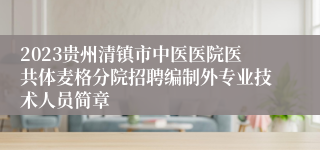 2023贵州清镇市中医医院医共体麦格分院招聘编制外专业技术人员简章