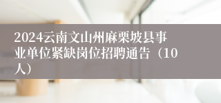 2024云南文山州麻栗坡县事业单位紧缺岗位招聘通告（10人）