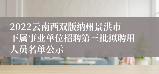 2022云南西双版纳州景洪市下属事业单位招聘第三批拟聘用人员名单公示