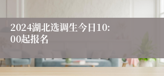 2024湖北选调生今日10:00起报名