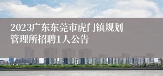 2023广东东莞市虎门镇规划管理所招聘1人公告