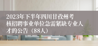 2023年下半年四川甘孜州考核招聘事业单位急需紧缺专业人才的公告（88人）