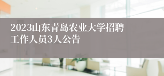 2023山东青岛农业大学招聘工作人员3人公告