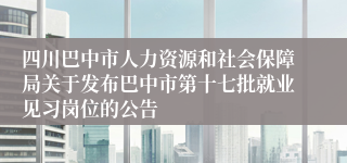 四川巴中市人力资源和社会保障局关于发布巴中市第十七批就业见习岗位的公告