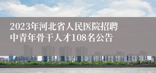 2023年河北省人民医院招聘中青年骨干人才108名公告