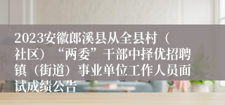 2023安徽郎溪县从全县村（社区）“两委”干部中择优招聘镇（街道）事业单位工作人员面试成绩公告