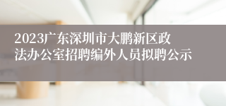 2023广东深圳市大鹏新区政法办公室招聘编外人员拟聘公示