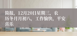 简报，12月20日星期三，农历冬月月初八，工作愉快，平安喜乐