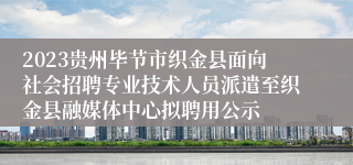 2023贵州毕节市织金县面向社会招聘专业技术人员派遣至织金县融媒体中心拟聘用公示