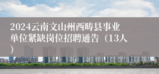 2024云南文山州西畴县事业单位紧缺岗位招聘通告（13人）