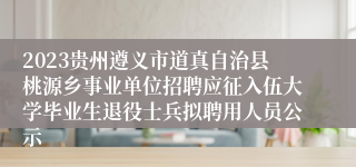 2023贵州遵义市道真自治县桃源乡事业单位招聘应征入伍大学毕业生退役士兵拟聘用人员公示