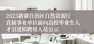 2023新疆自治区自然资源厅直属事业单位面向高校毕业生人才引进拟聘用人员公示