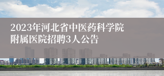 2023年河北省中医药科学院附属医院招聘3人公告