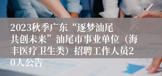 2023秋季广东“逐梦汕尾 共创未来”汕尾市事业单位（海丰医疗卫生类）招聘工作人员20人公告