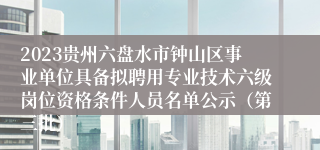 2023贵州六盘水市钟山区事业单位具备拟聘用专业技术六级岗位资格条件人员名单公示（第三批）