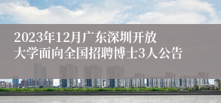 2023年12月广东深圳开放大学面向全国招聘博士3人公告