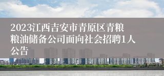 2023江西吉安市青原区青粮粮油储备公司面向社会招聘1人公告