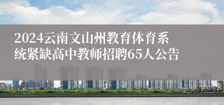 2024云南文山州教育体育系统紧缺高中教师招聘65人公告