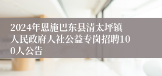 2024年恩施巴东县清太坪镇人民政府人社公益专岗招聘100人公告