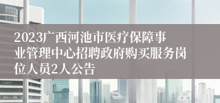 2023广西河池市医疗保障事业管理中心招聘政府购买服务岗位人员2人公告