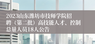 2023山东潍坊市技师学院招聘（第二批）高技能人才、控制总量人员18人公告