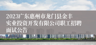 2023广东惠州市龙门县金丰实业投资开发有限公司职工招聘面试公告
