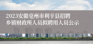 2023安徽亳州市利辛县招聘乡镇财政所人员拟聘用人员公示