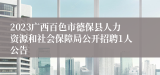 2023广西百色市德保县人力资源和社会保障局公开招聘1人公告