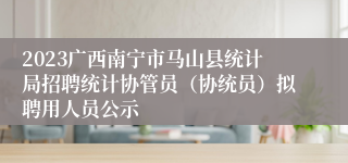 2023广西南宁市马山县统计局招聘统计协管员（协统员）拟聘用人员公示