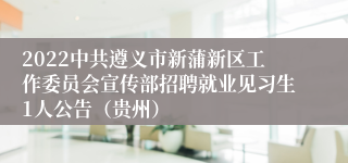 2022中共遵义市新蒲新区工作委员会宣传部招聘就业见习生1人公告（贵州）